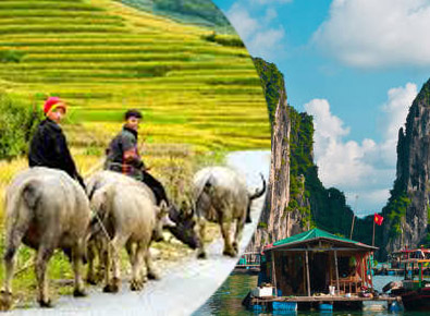 Halong Cruise and Sapa tour 3D3N